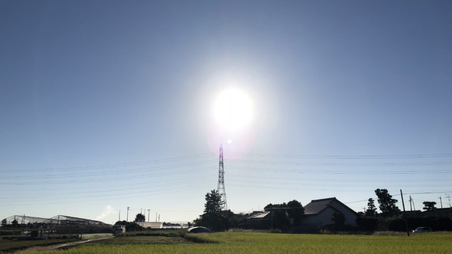 ブログ運営5ヶ月突破!! 現状報告。